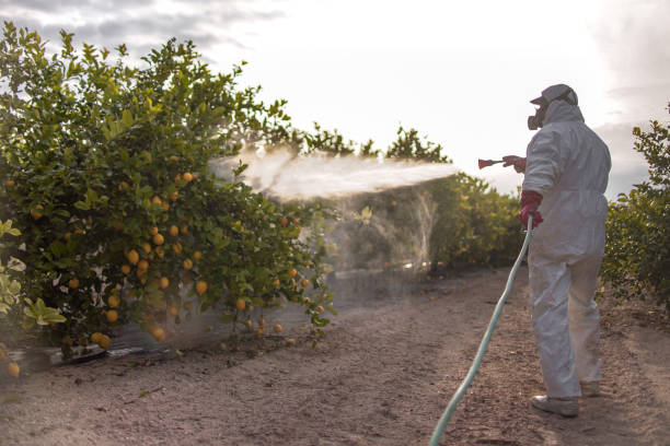 Best Pest Control Near Me in Proctor, VT