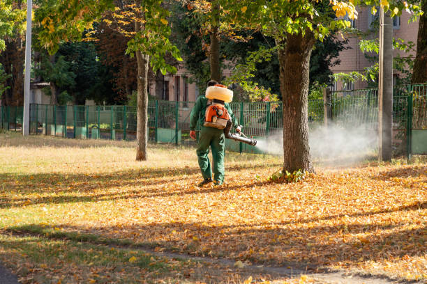 Best Termite Control Services  in Proctor, VT